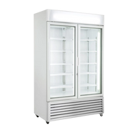 Two Door Freezer - Rent to Buy
