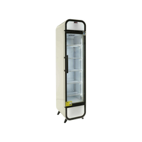 One Door Slimline Display Freezer (Near New)