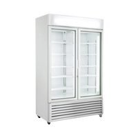 Two Door Freezer For Hire