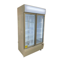 Two Door Fridge (Used)
