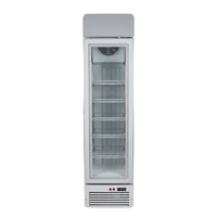 White Slimline Fridge