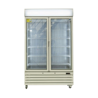 Two Door Freezer - Rent to Buy