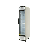 One Door Slimline Display Freezer (Near New)