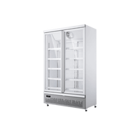 Aislepro® Double Door Freezer