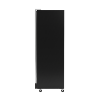 AislePro MAX Double Door Display Freezer - Rent to Buy