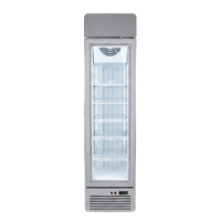 White Slimline Fridge