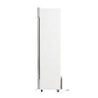 White Slimline Fridge