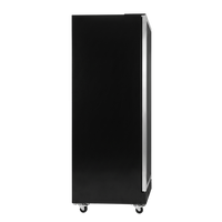 AislePro MAX Double Door Display Freezer - Rent to Buy