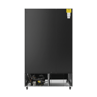 AislePro MAX Double Door Display Freezer