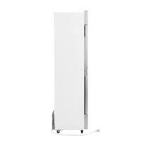 White Slimline Fridge