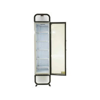 One Door Slimline Display Freezer (Near New)
