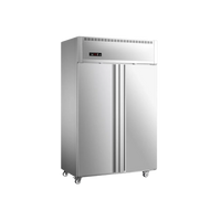 Two Door Fridge (Stainless Steel)
