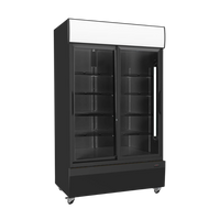 Two Door Fridge Black (Sliding Doors)