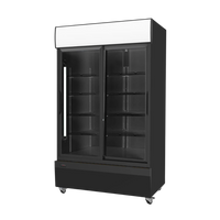 Two Door Fridge Black (Sliding Doors)