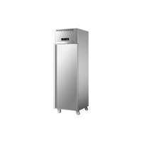 One Door Freezer (Stainless Steel)