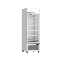 CDSF400 – One Door Freezer (White)