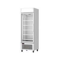 CDSF400 – One Door Freezer (White)