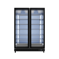 AislePro MAX Double Door Display Freezer