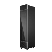 Black Slimline Freezer